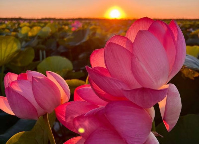 Orhan Veli KANIK, Anlatamıyorum Şiiri 